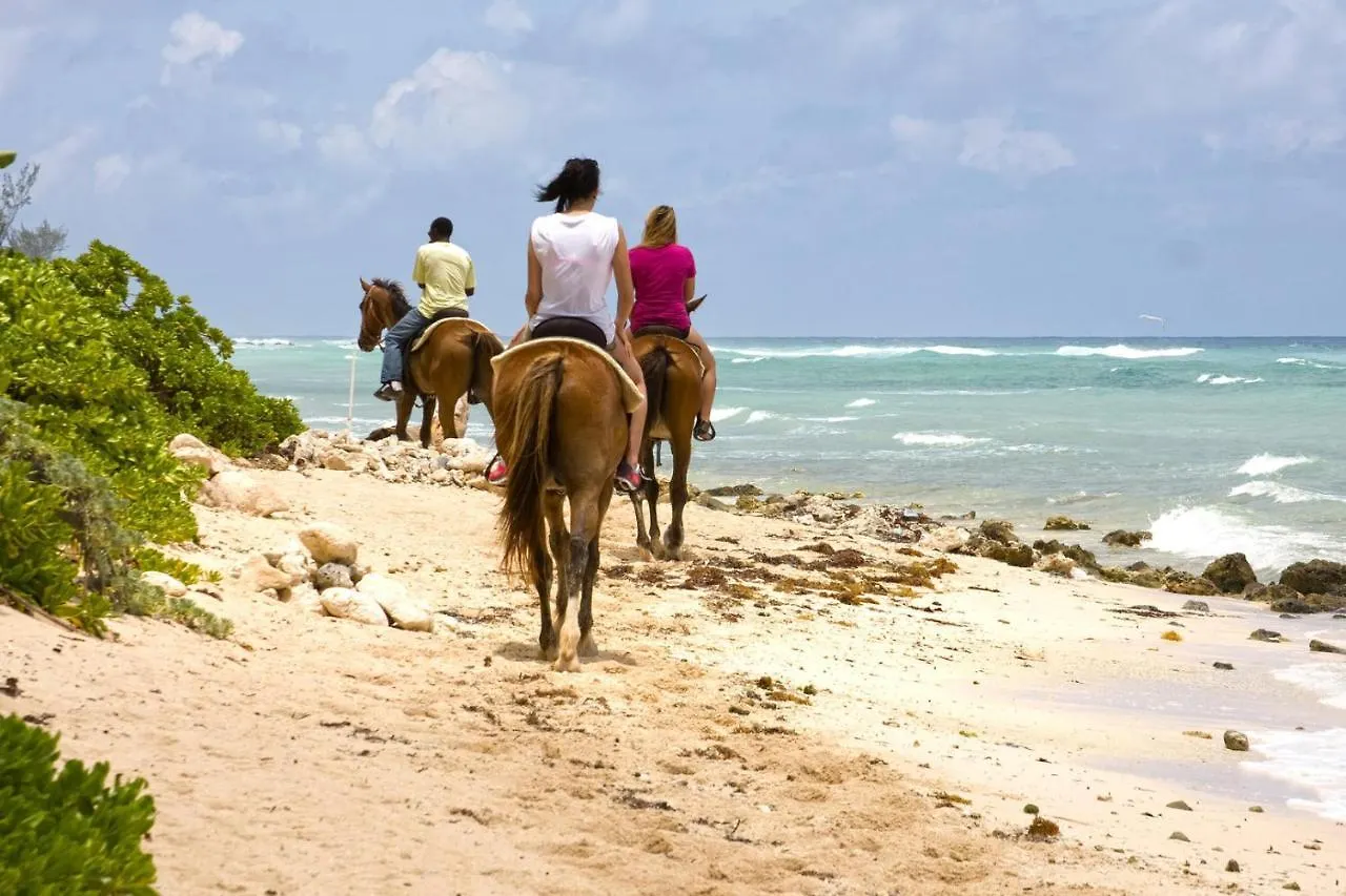 Avocado Cottage - Micro-Resort In West Bay 0*,  Cayman Islands